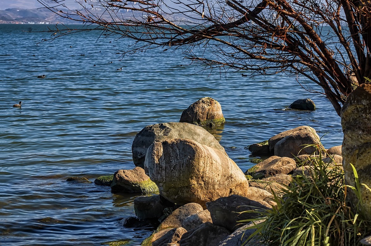 大理洱海 · 才村湿地