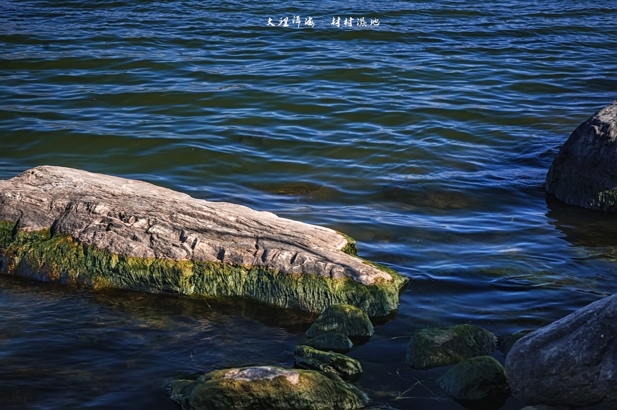 大理洱海 · 才村湿地