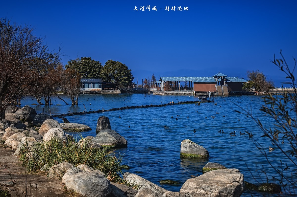 大理洱海 · 才村湿地