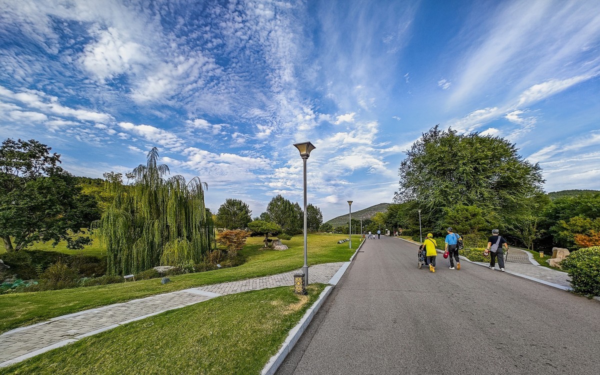 手机游拍20240923 《42》