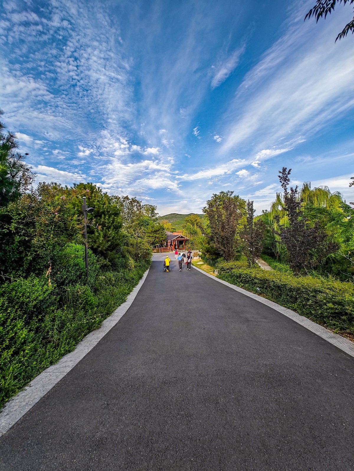 手机游拍20240923 《42》