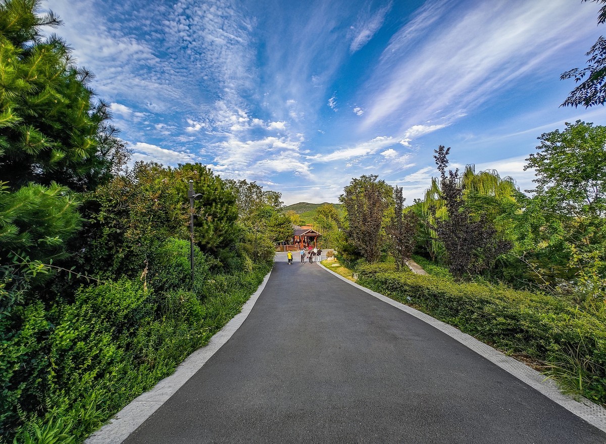 手机游拍20240923 《42》