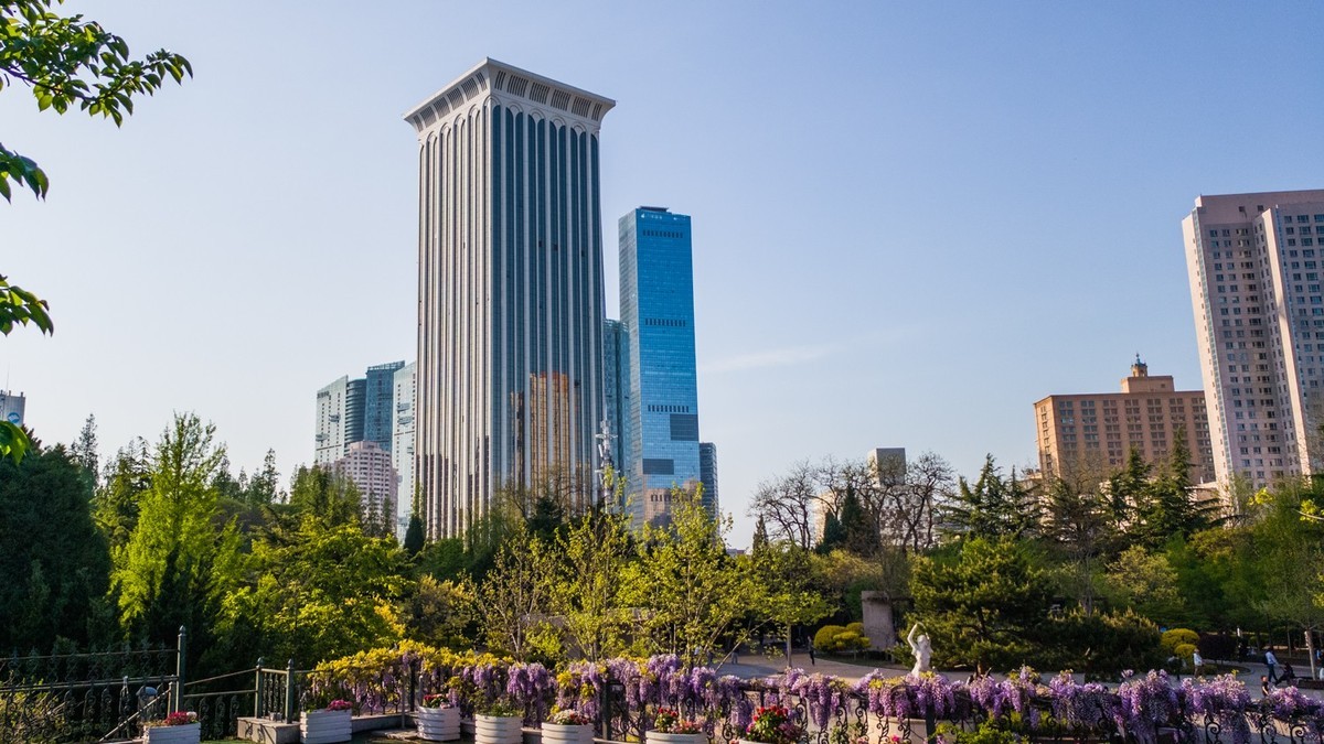 250504 劳 动 公 园