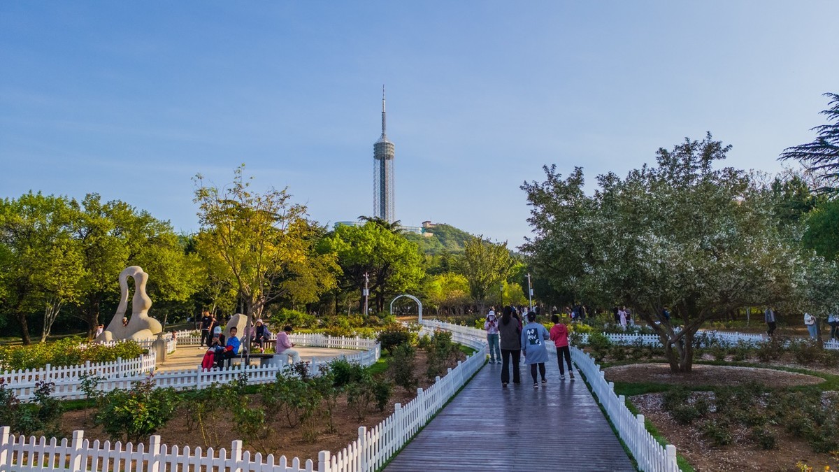 250504 劳 动 公 园