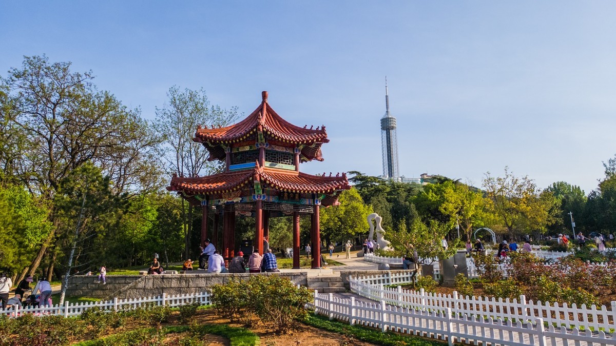 250504 劳 动 公 园