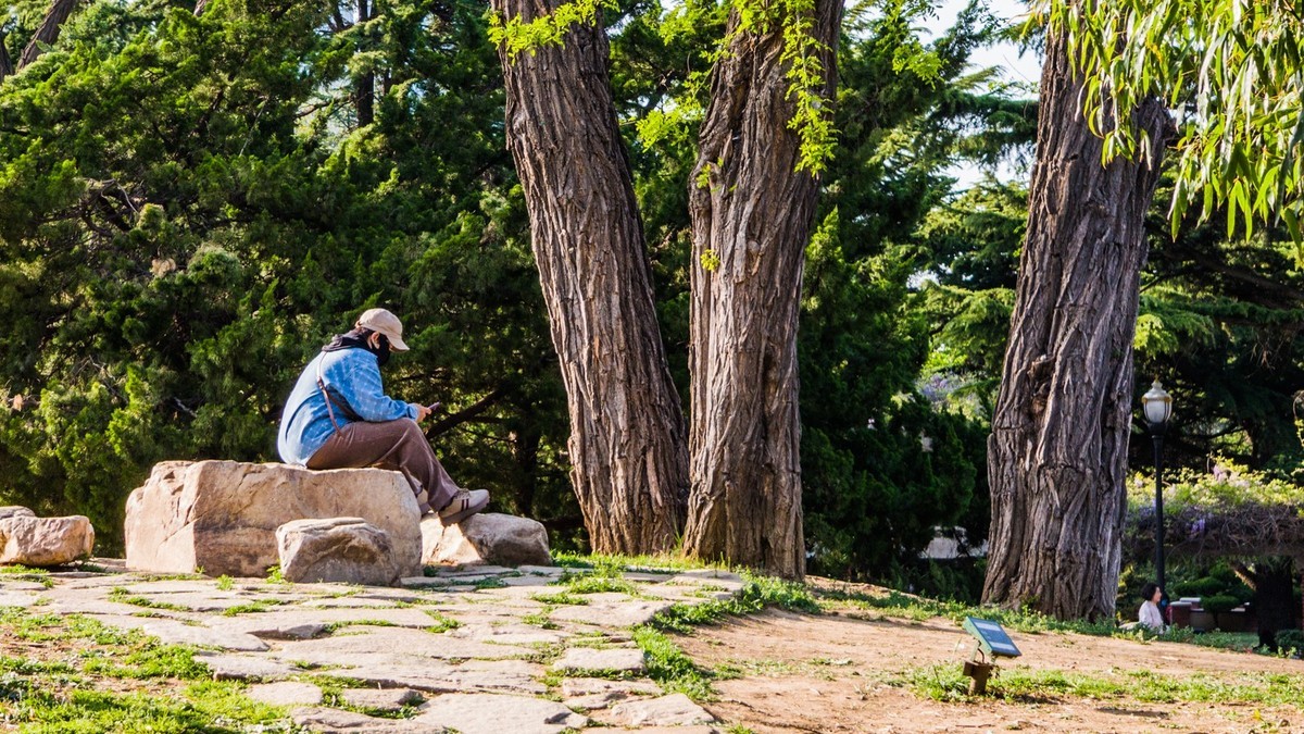 250504 劳 动 公 园