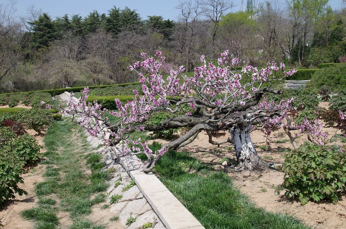 一年中的好时节