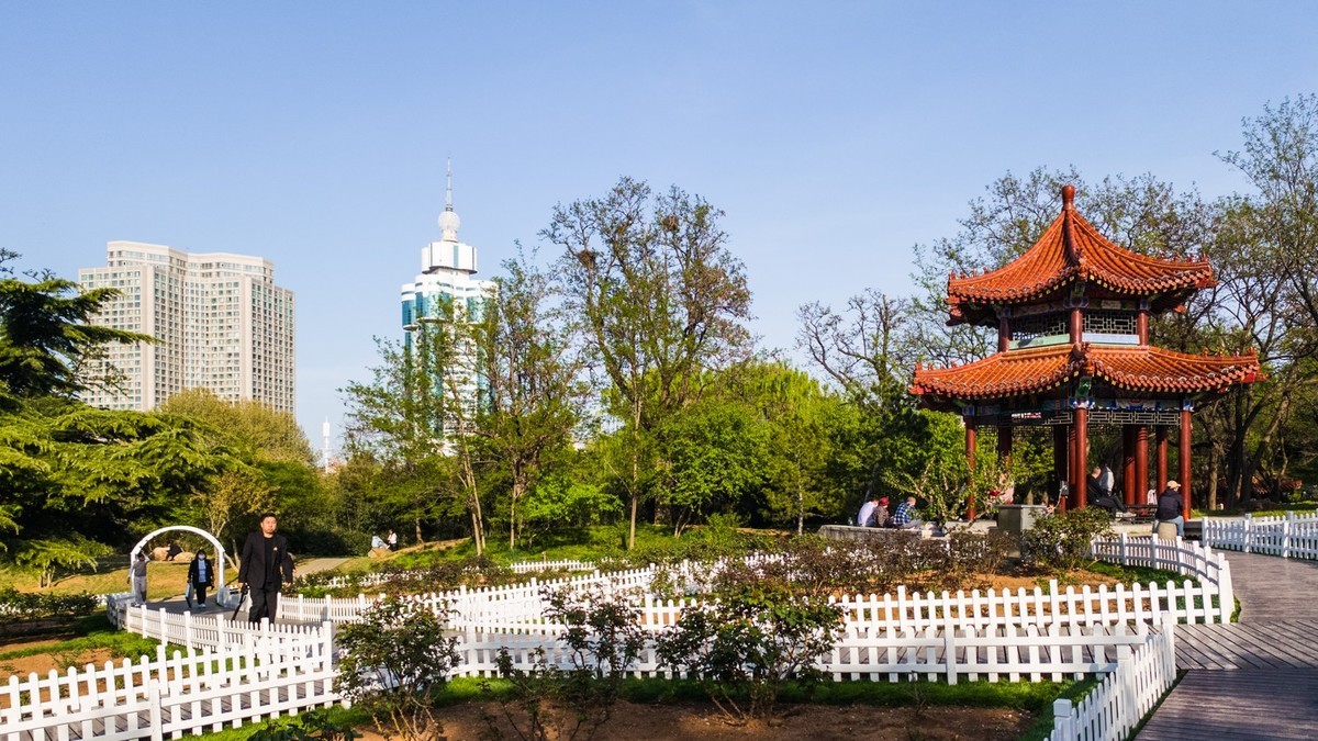 250504 劳 动 公 园