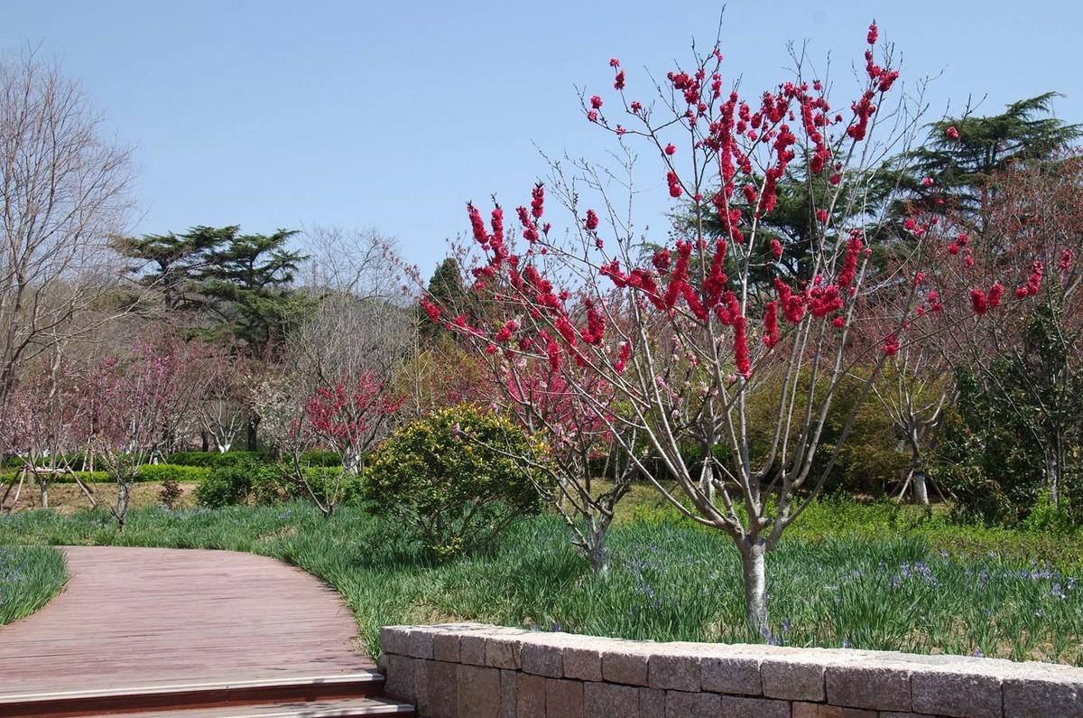 一年中的好时节