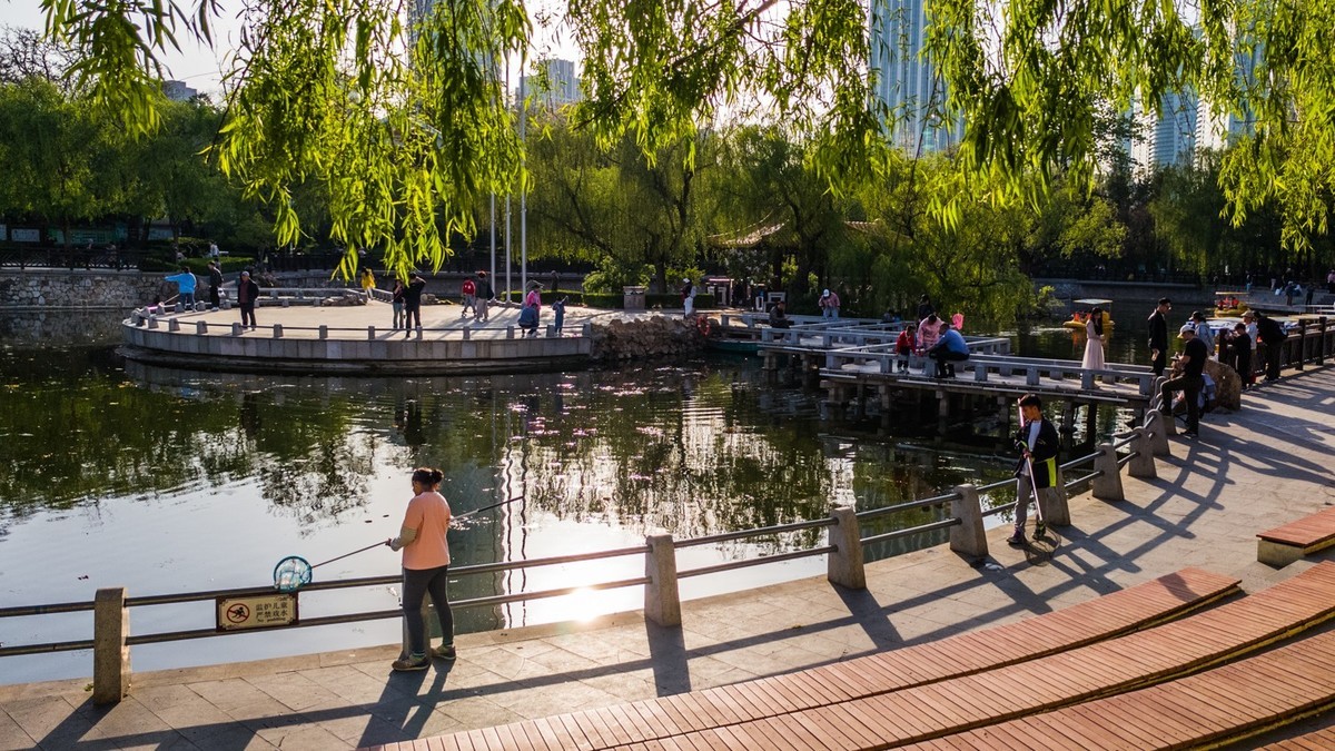 250504 劳 动 公 园