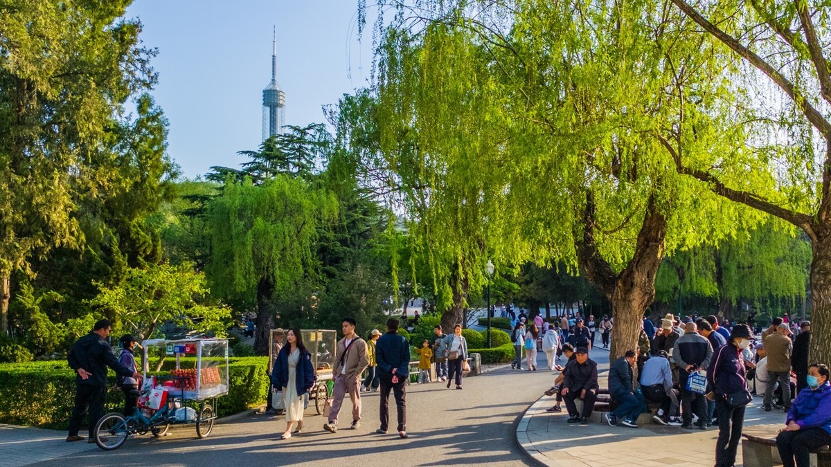 250504 劳 动 公 园