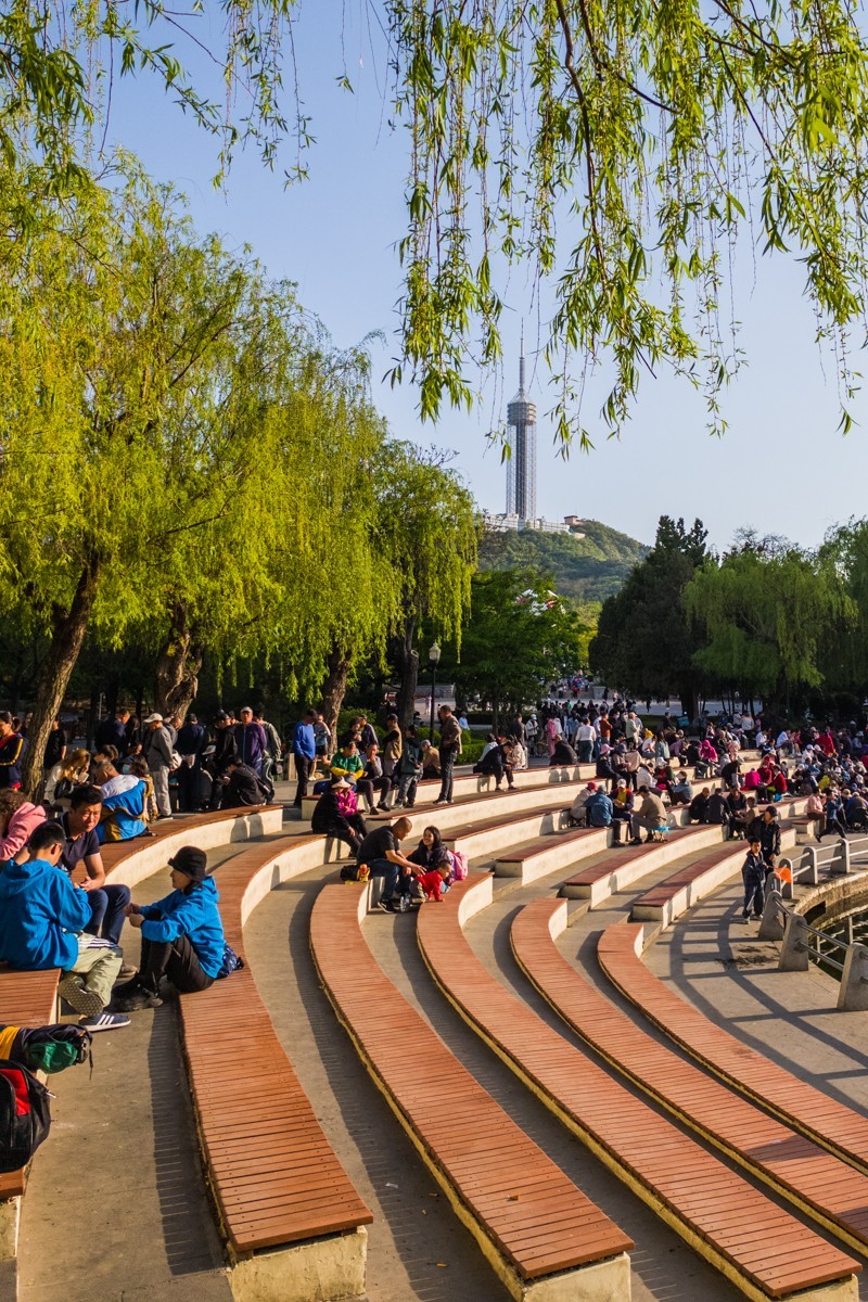 250504 劳 动 公 园