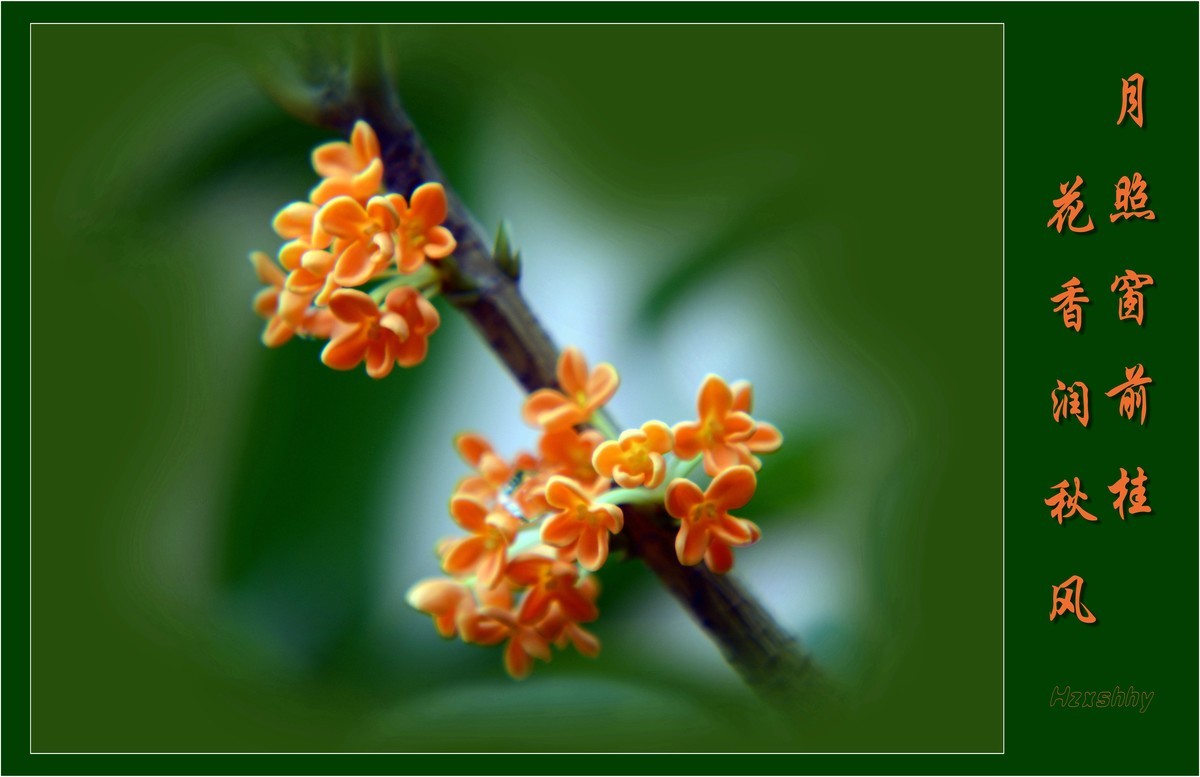 桂香报中秋（2022249）——预祝大家中秋节快乐！