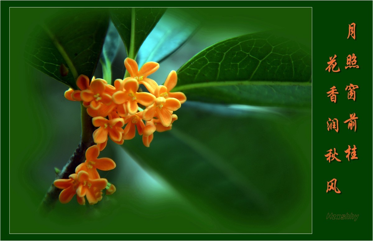 桂香报中秋（2022249）——预祝大家中秋节快乐！