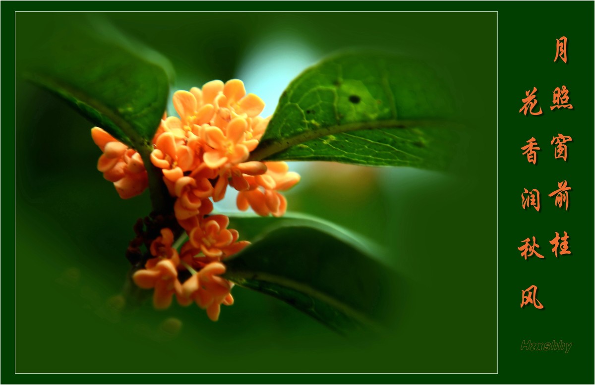 桂香报中秋（2022249）——预祝大家中秋节快乐！