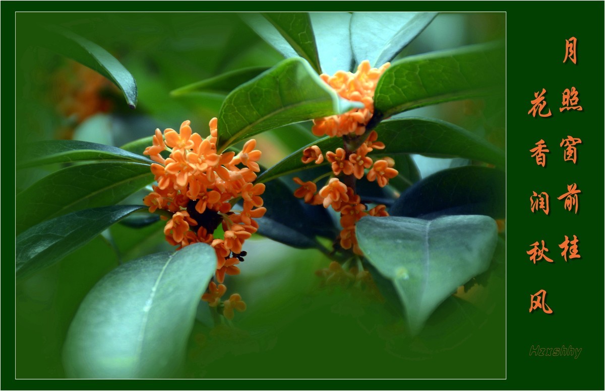 桂香报中秋（2022249）——预祝大家中秋节快乐！