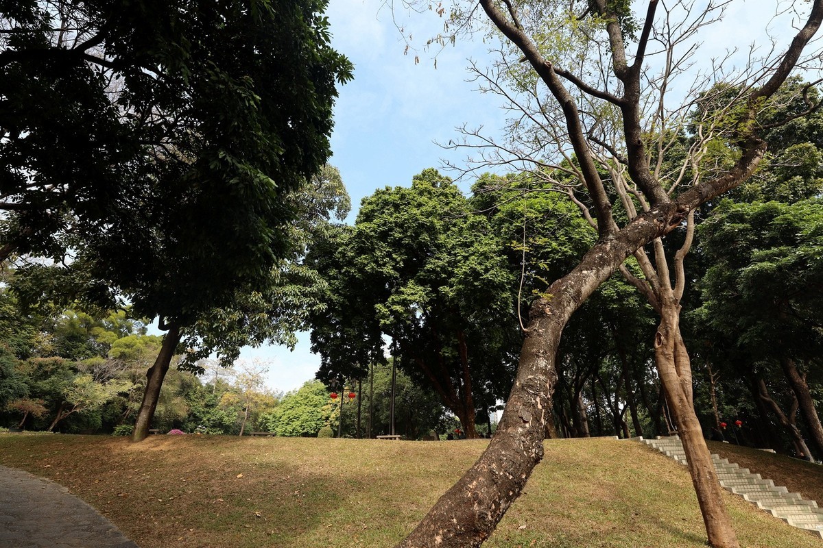 深圳中山公园