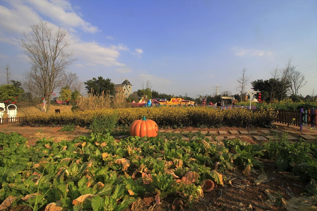 成都郊区新开张的儿童乐园——趣萌森林