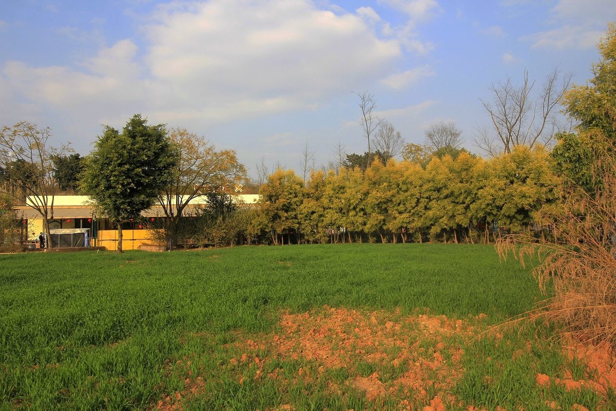 成都郊区新开张的儿童乐园——趣萌森林