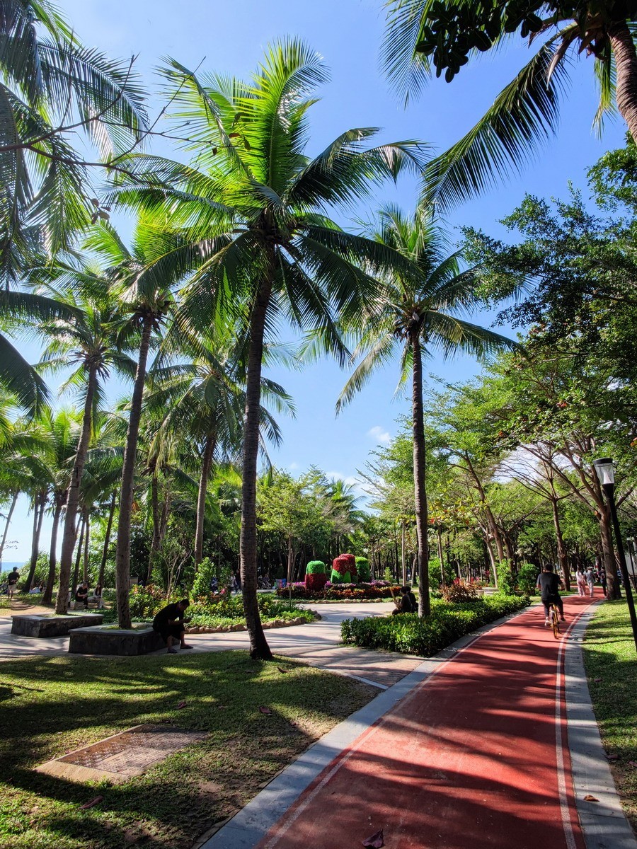 三亚湾 椰梦长廊 即景（第四集，续完）——10P