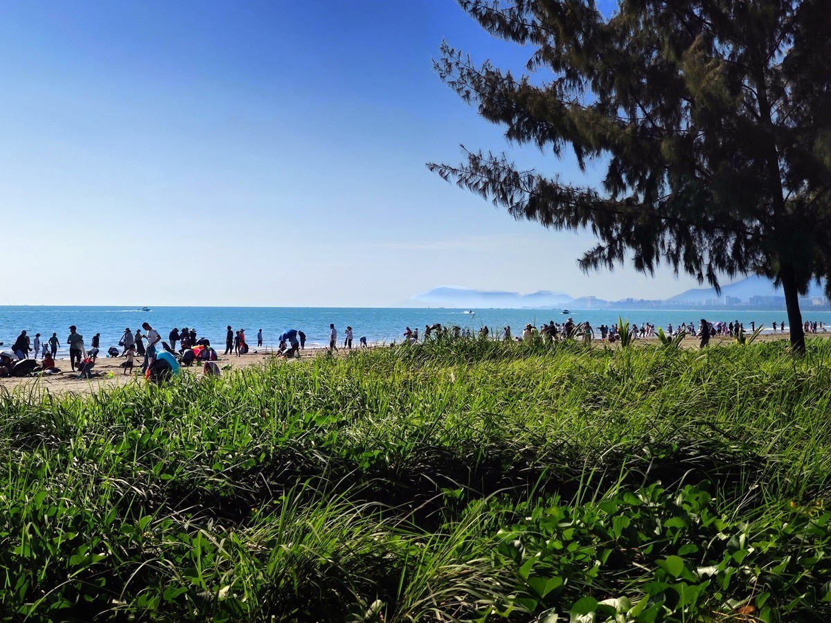 三亚湾 椰梦长廊 即景（第四集，续完）——10P