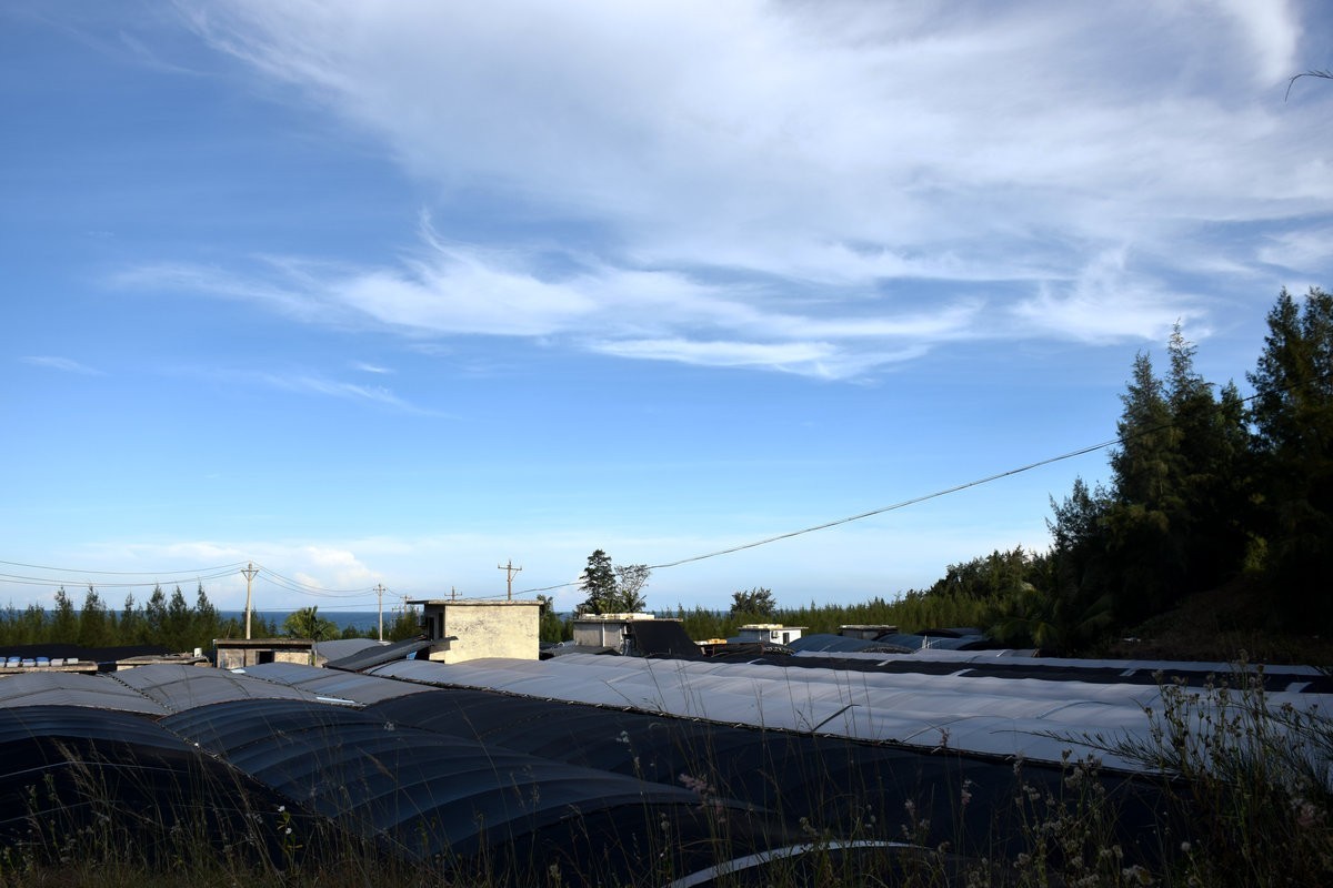 2024夏 海南环岛行（57）博鳌玉带滩