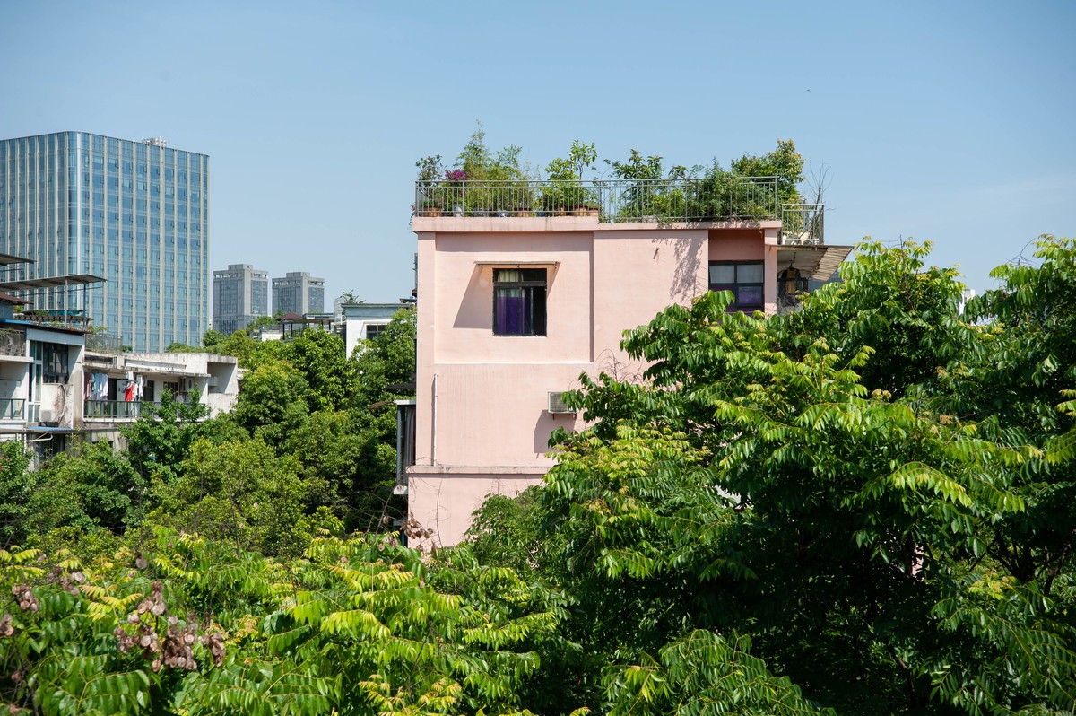 D700配17 55和人精随拍