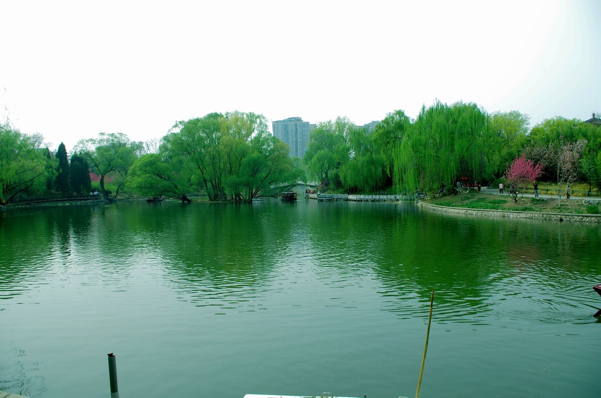 2020 —— 走马观花 紫竹院