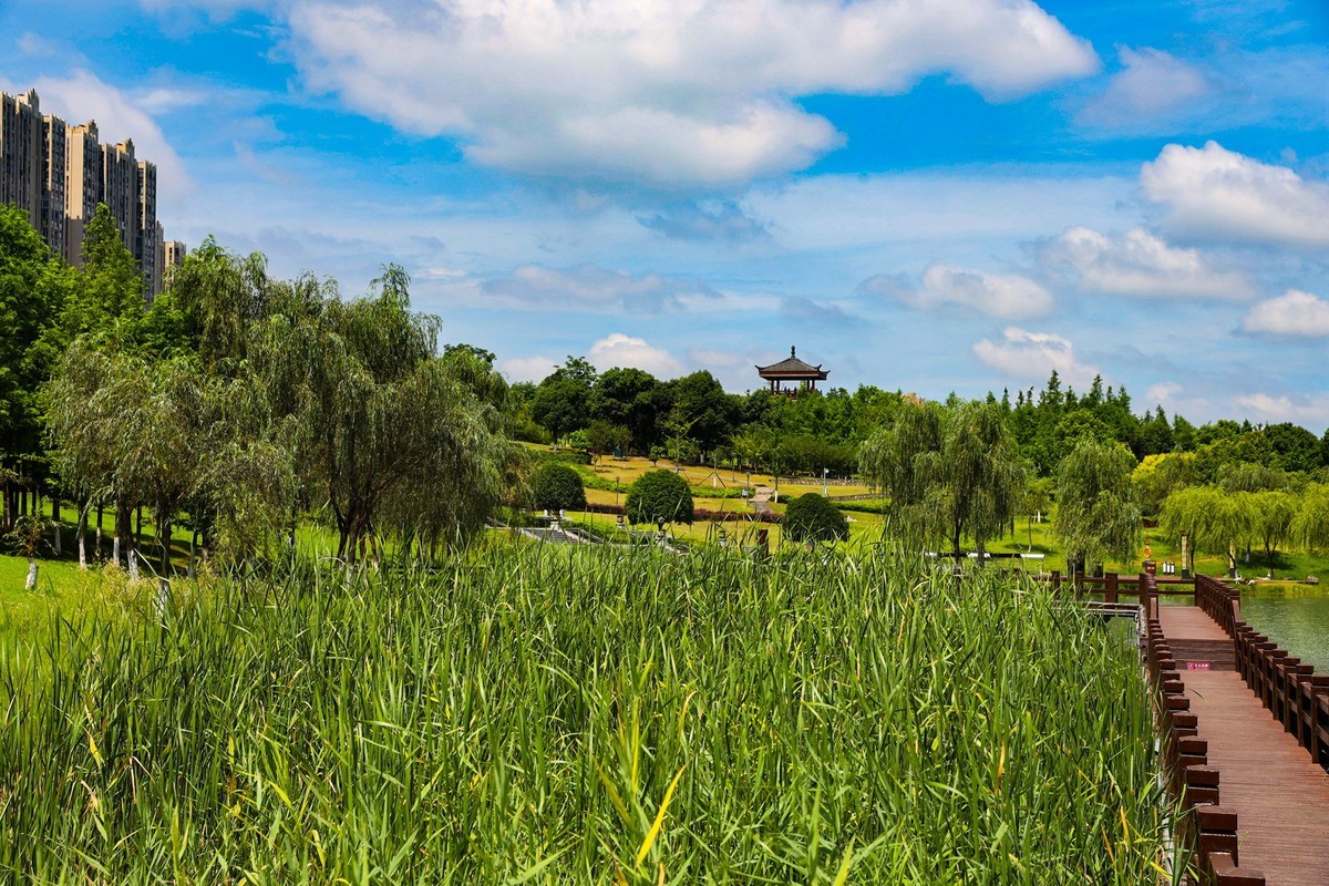 松雅湖溼地公園5