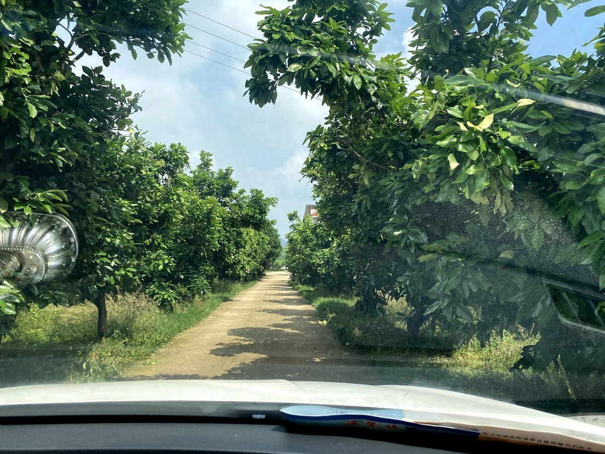 漫步星城 走街串巷（264）果然多家庭农场