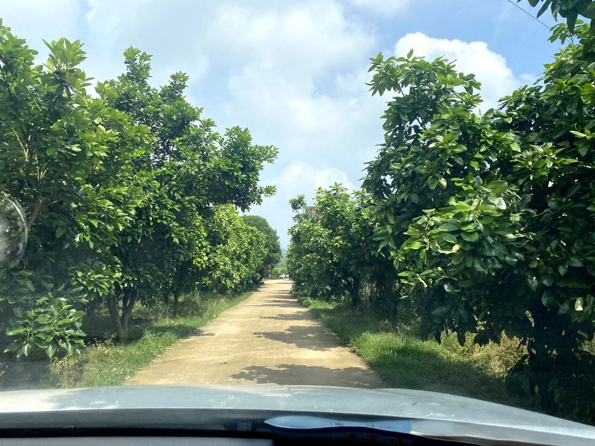 漫步星城 走街串巷（264）果然多家庭农场