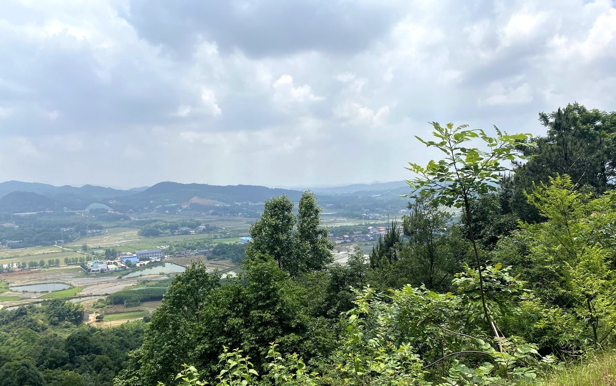 漫步星城 走街串巷（264）果然多家庭农场