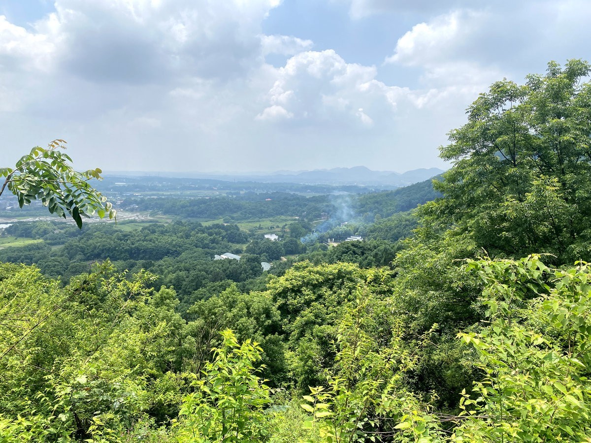 漫步星城 走街串巷（264）果然多家庭农场