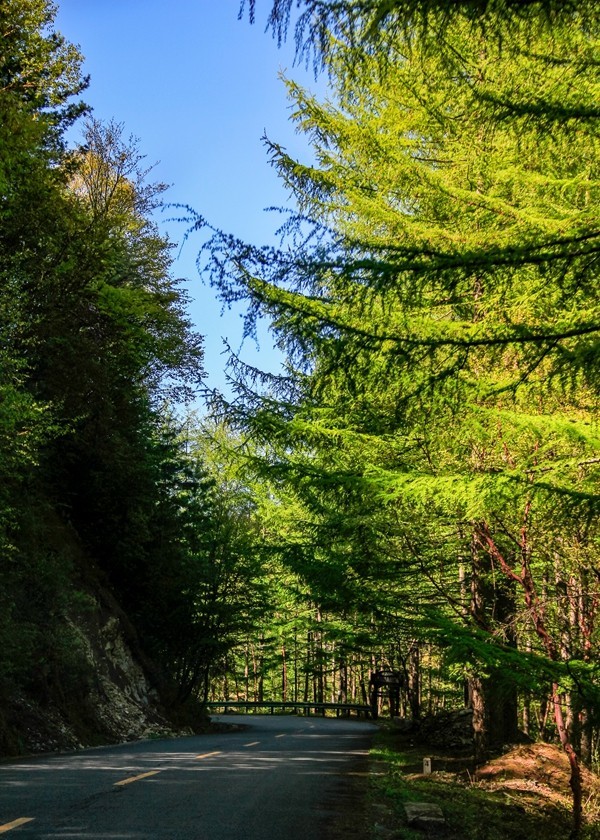 行摄太白山【3】