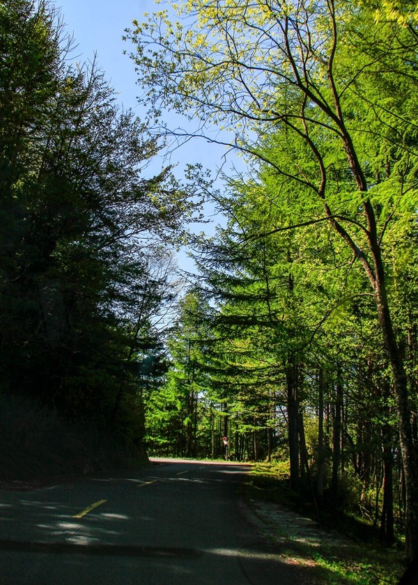 行摄太白山【3】