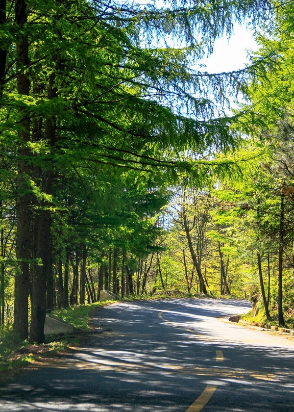 行摄太白山【3】