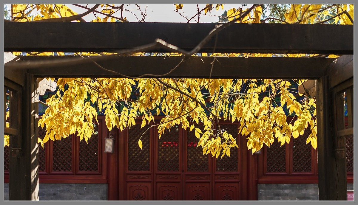 西山名剎“大觉寺”随拍