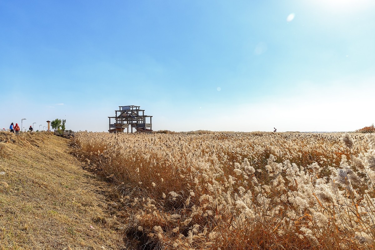 旅游记录：内蒙古 · 呼和浩特 · 哈素海