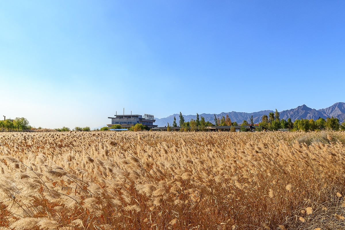 旅游记录：内蒙古 · 呼和浩特 · 哈素海