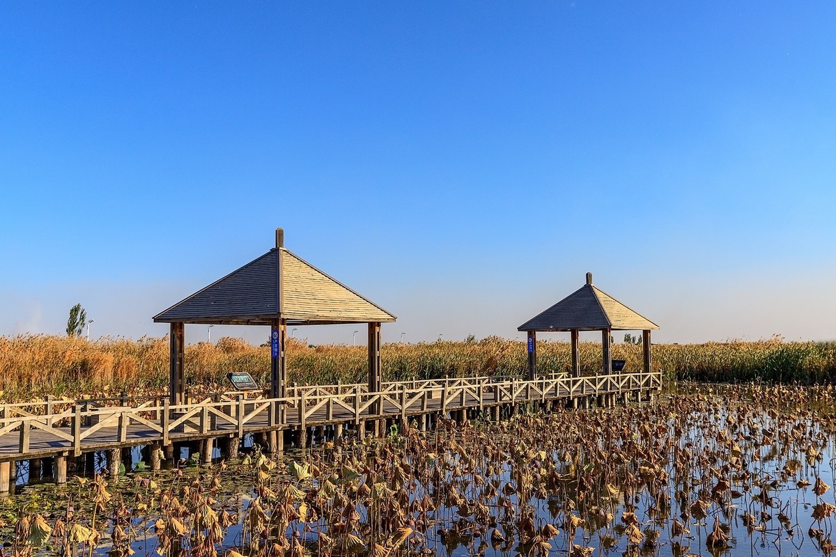 旅游记录：内蒙古 · 呼和浩特 · 哈素海