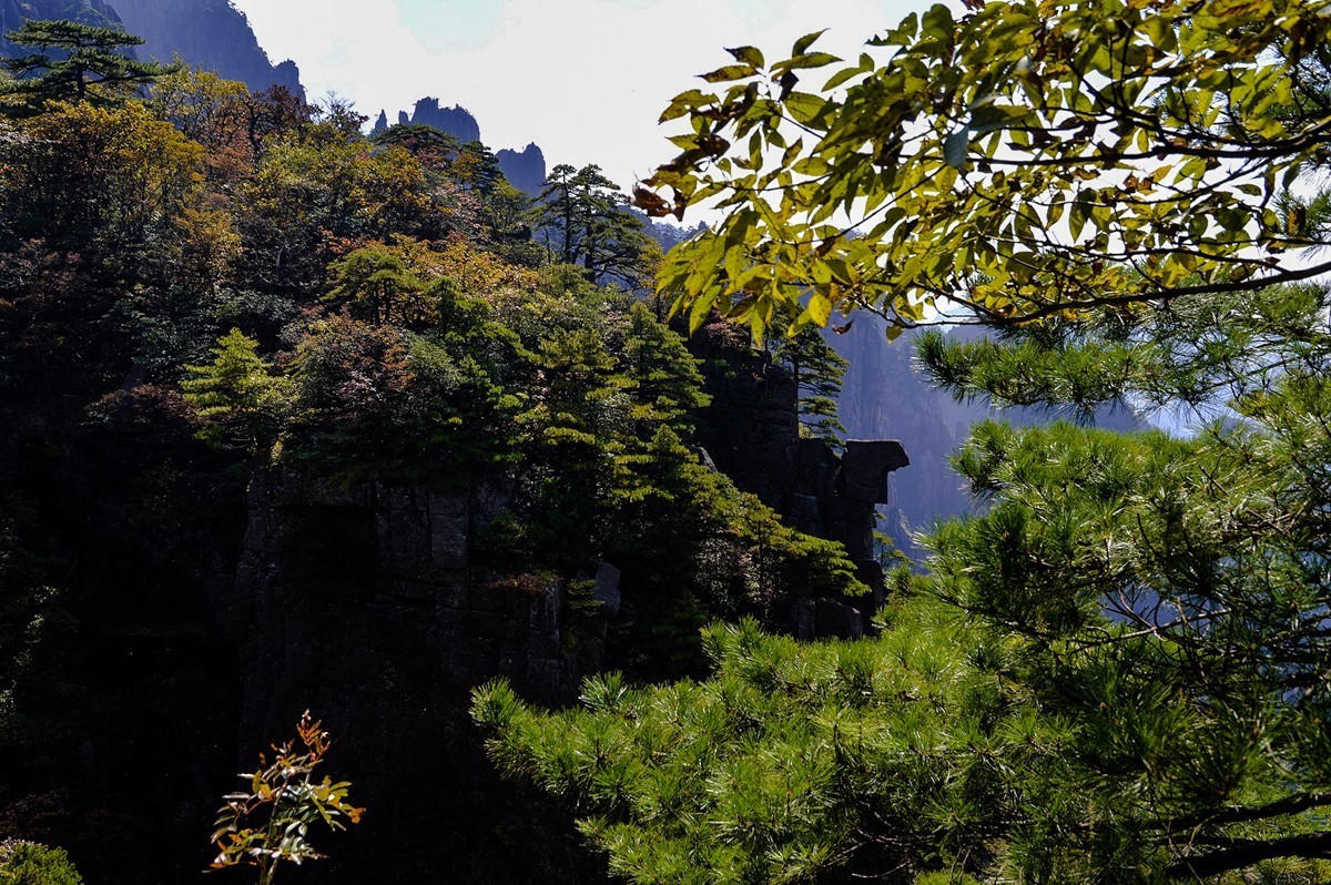 2023年-黄山风光拍-997