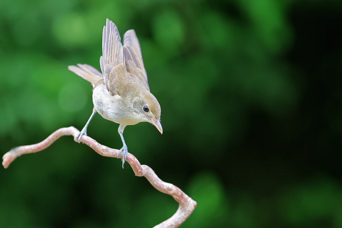 祝各位老师中秋节、国庆节双节吃好、喝美、玩爽，高高兴兴，和和美美，吉祥如意！