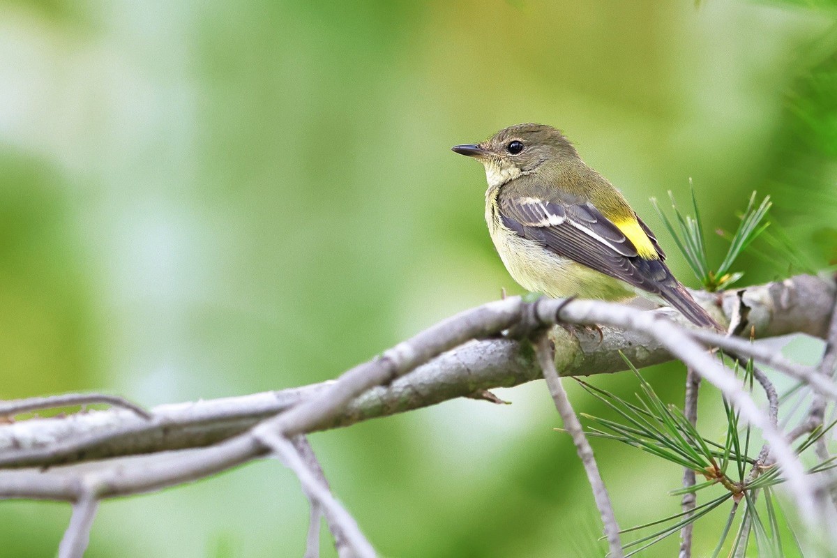 祝各位老师中秋节、国庆节双节吃好、喝美、玩爽，高高兴兴，和和美美，吉祥如意！