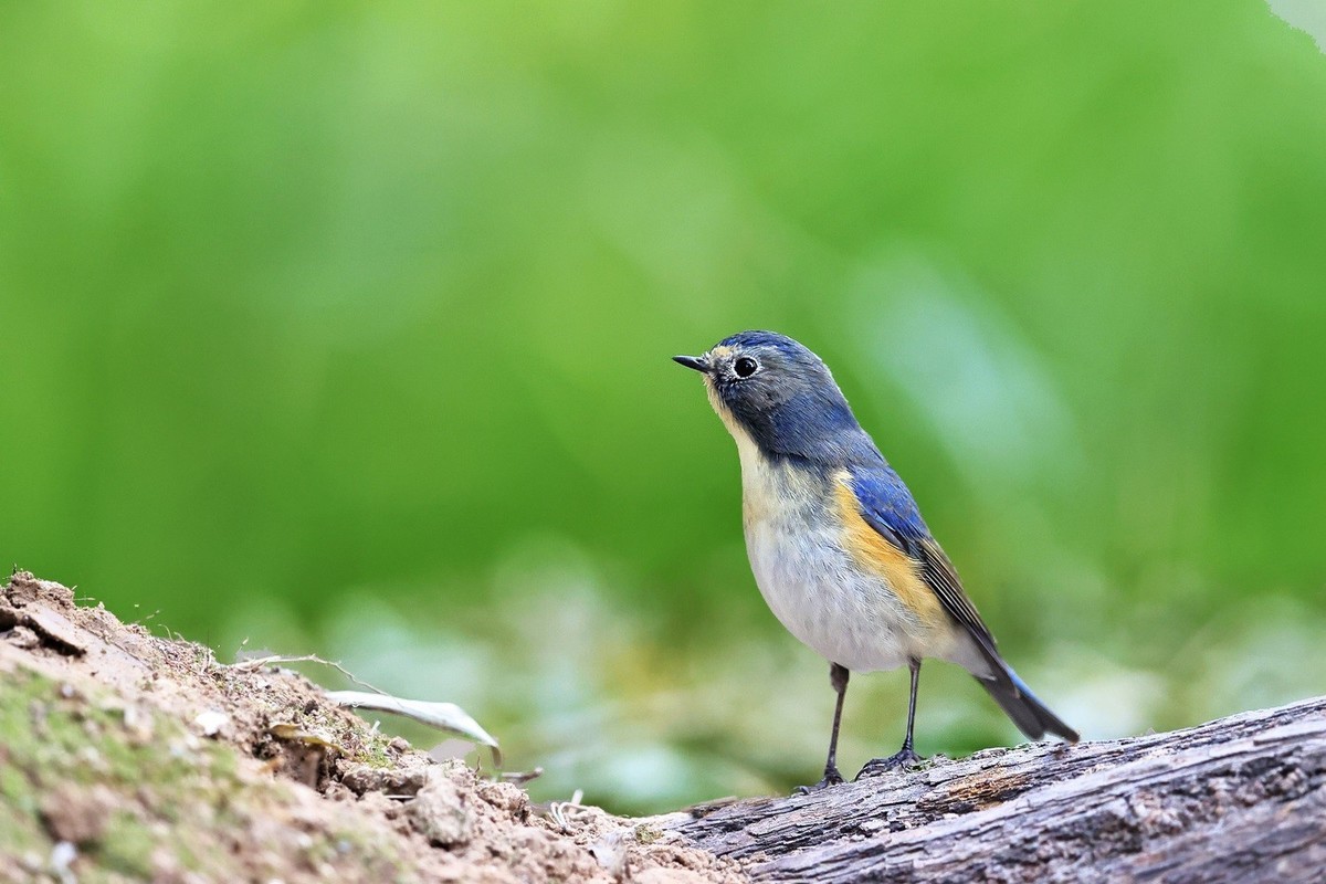 祝各位老师中秋节、国庆节双节吃好、喝美、玩爽，高高兴兴，和和美美，吉祥如意！
