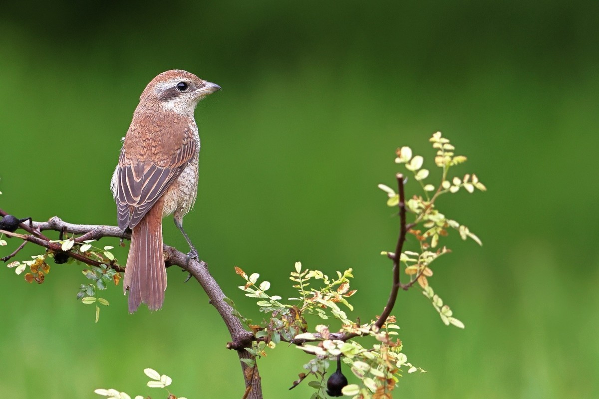 祝各位老师中秋节、国庆节双节吃好、喝美、玩爽，高高兴兴，和和美美，吉祥如意！
