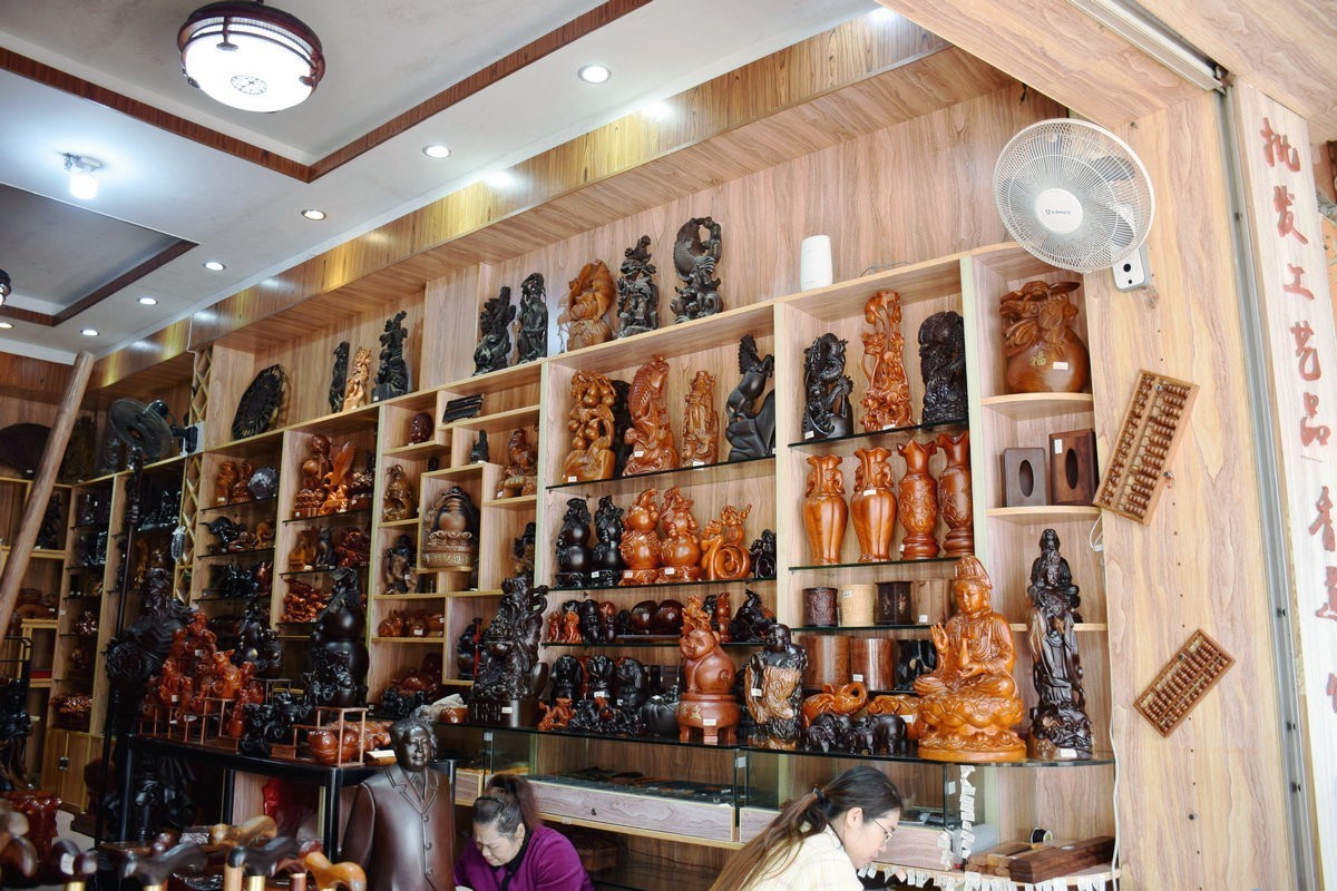 2024春节 滇桂沿边行（45）金花茶