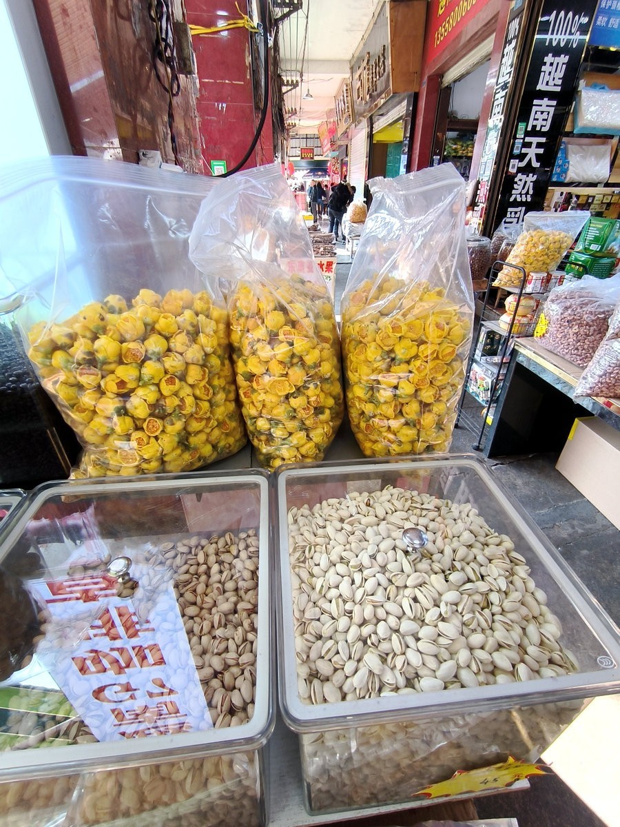 2024春节 滇桂沿边行（45）金花茶