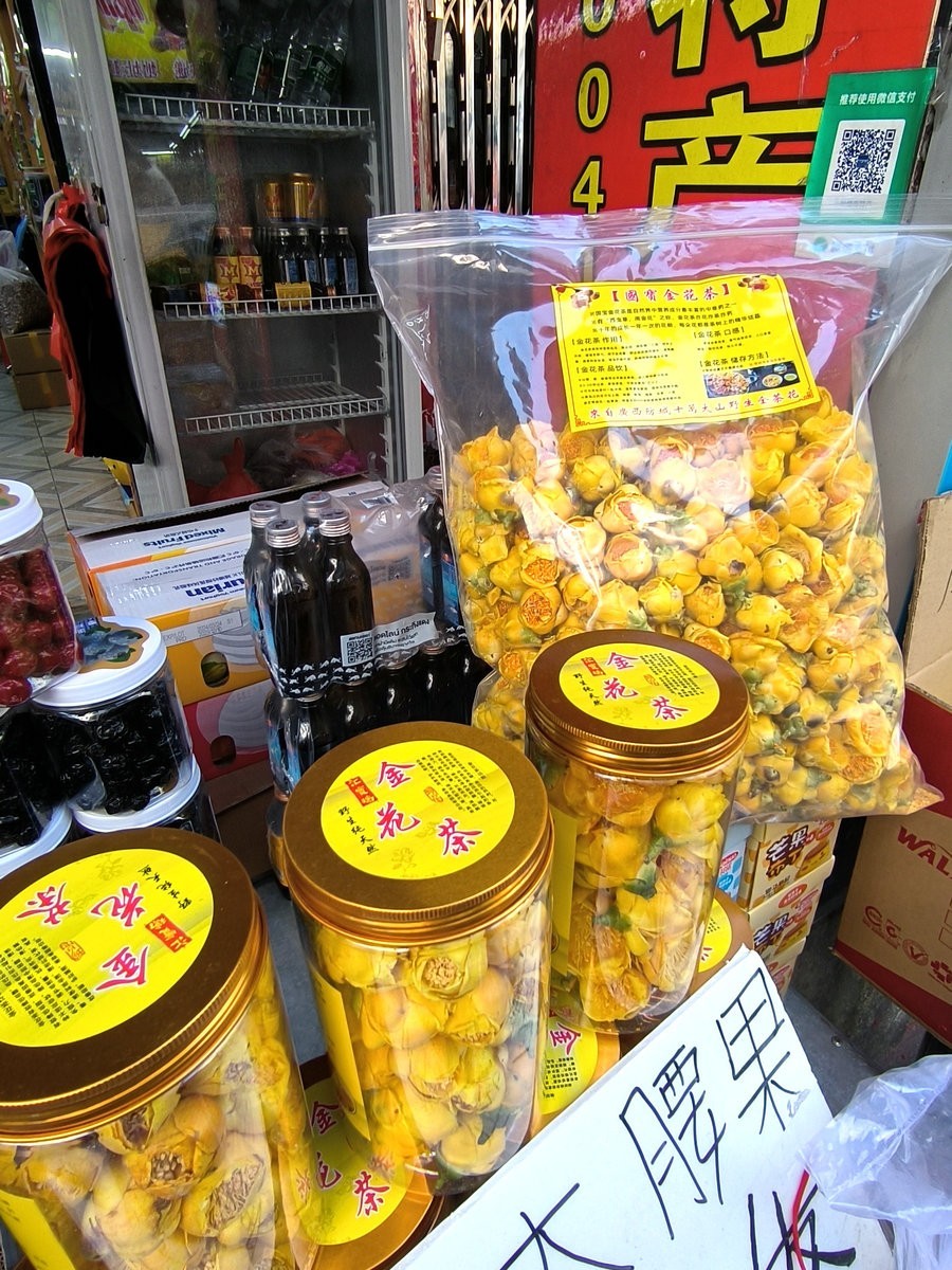 2024春节 滇桂沿边行（45）金花茶