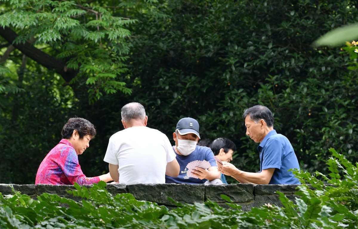 小纪夏日之闲
