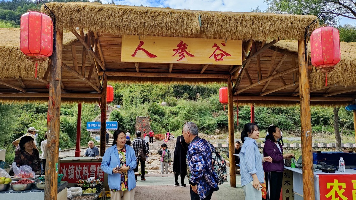 辽阳弓长岭人参谷掠影（续2）